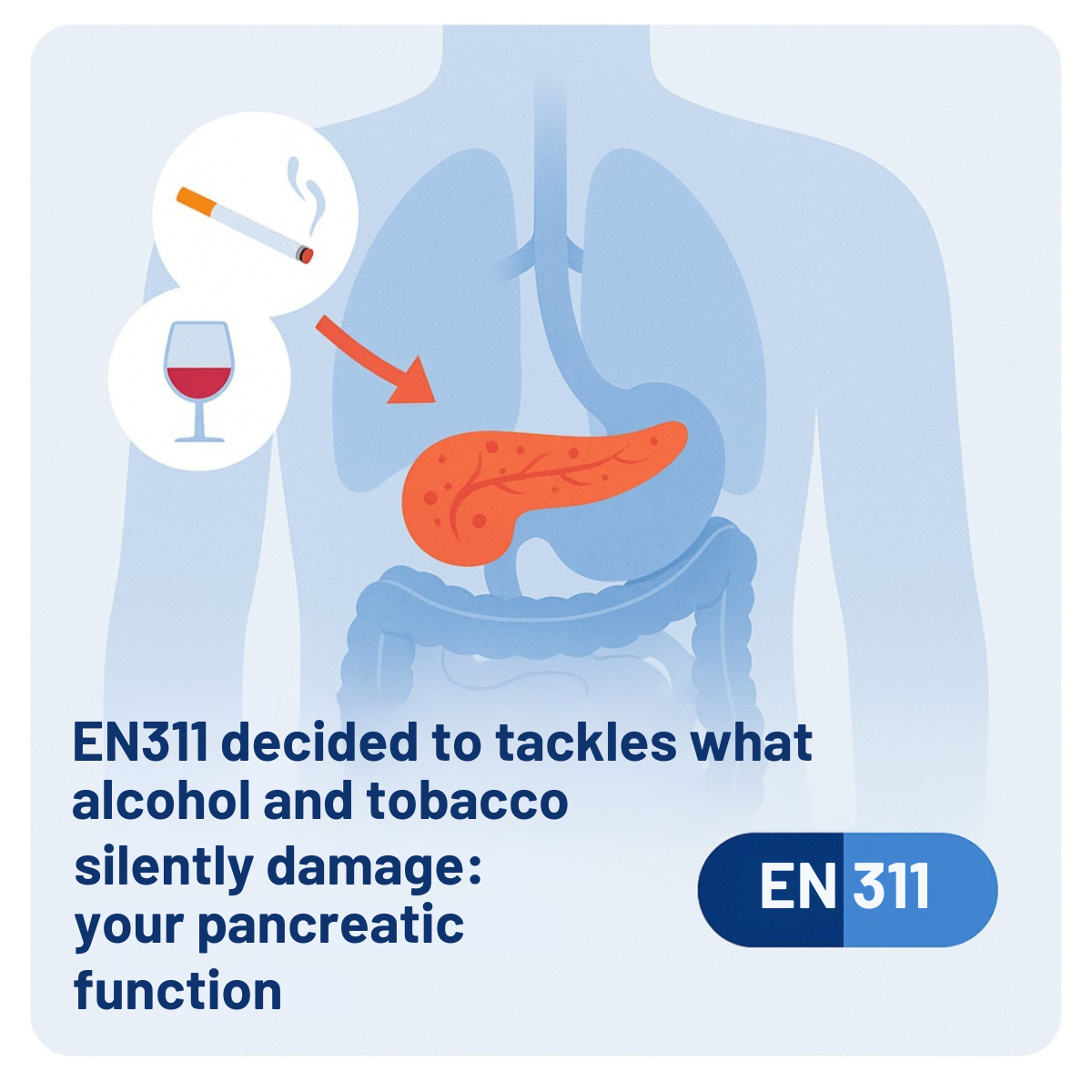 EN311 tackles what alcohol and tobacco silently damage: your pancreatic function
