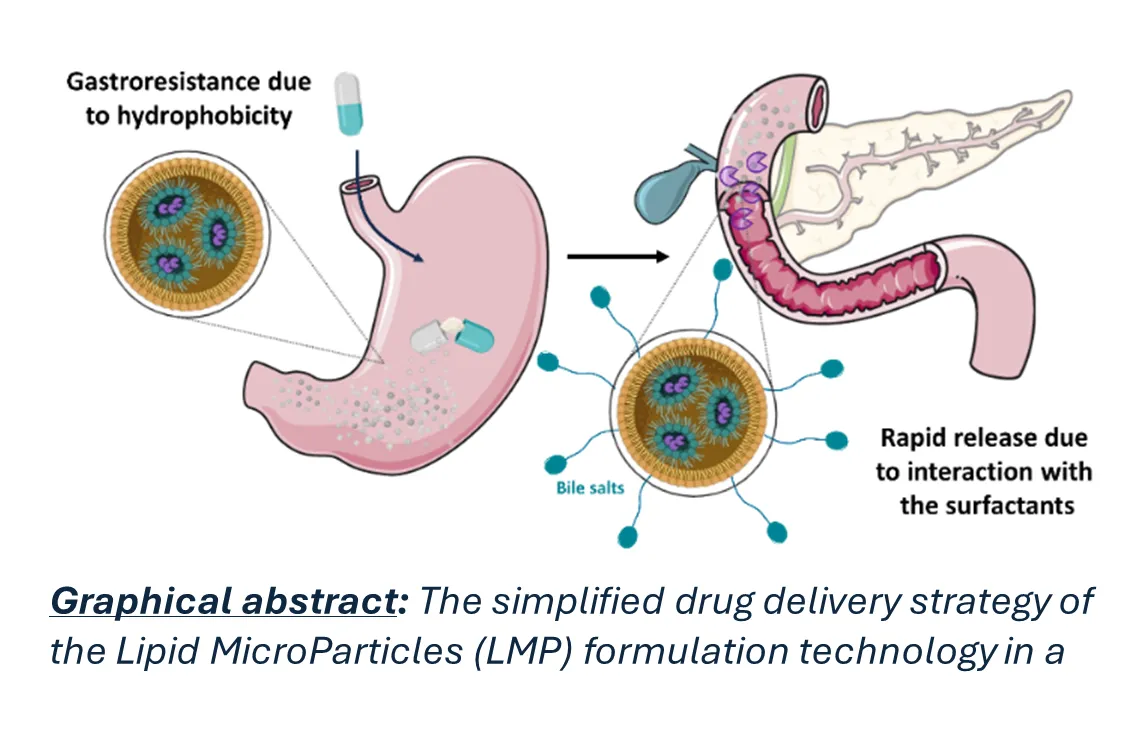 Eneapharm publishes new results in a leading scientific journal